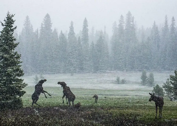Lodge Wyoming High Country