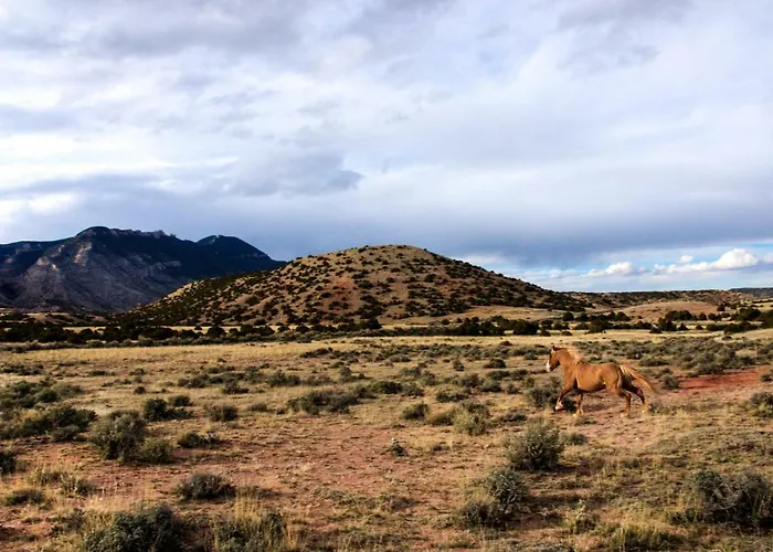 Wyoming High Country Lodge Lovell