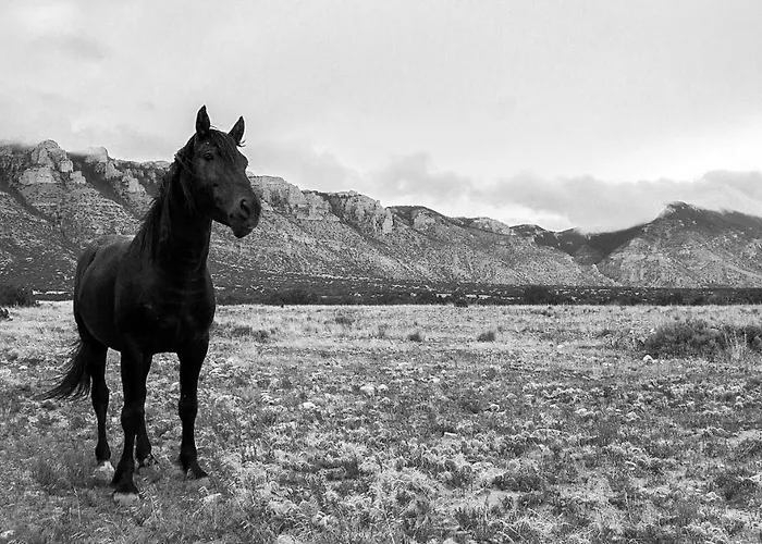 Wyoming High Country Lodge *