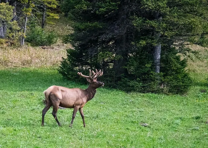 Lodge Wyoming High Country