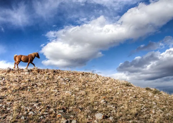 Wyoming High Country